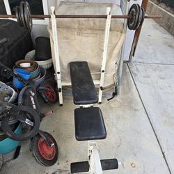 Weight Bench