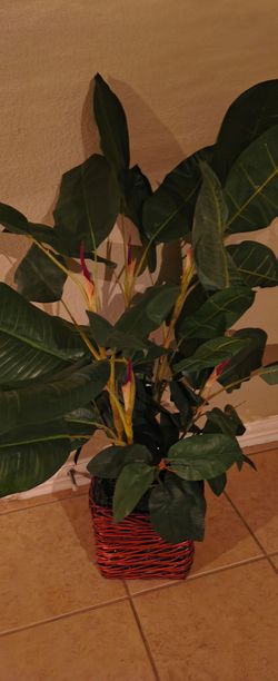 Plastic decorative plant
