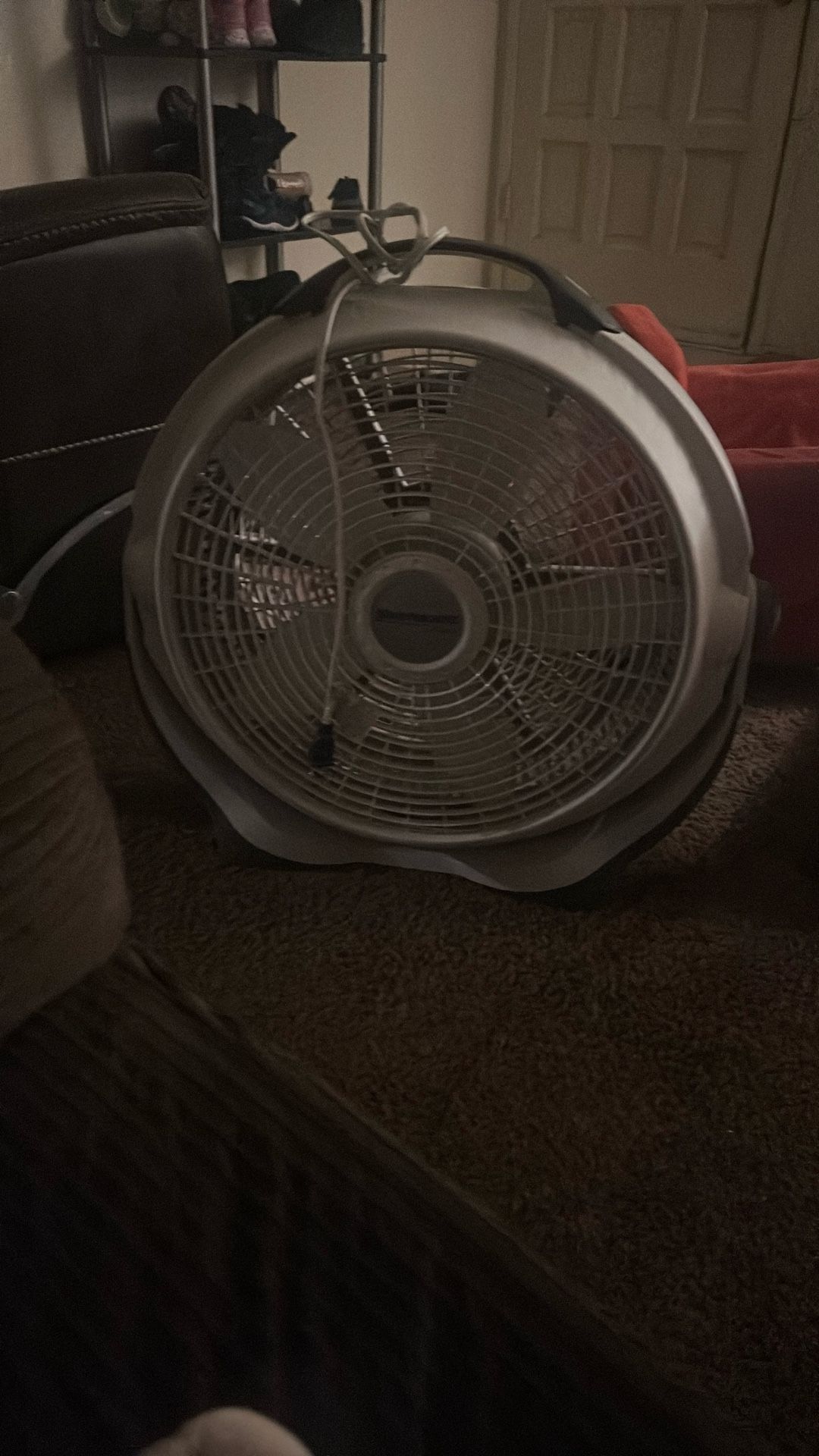 Fan