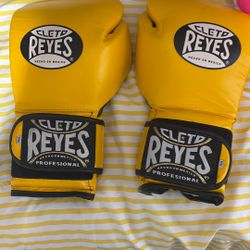 14oz Cleto Reyes Boxing Gloves