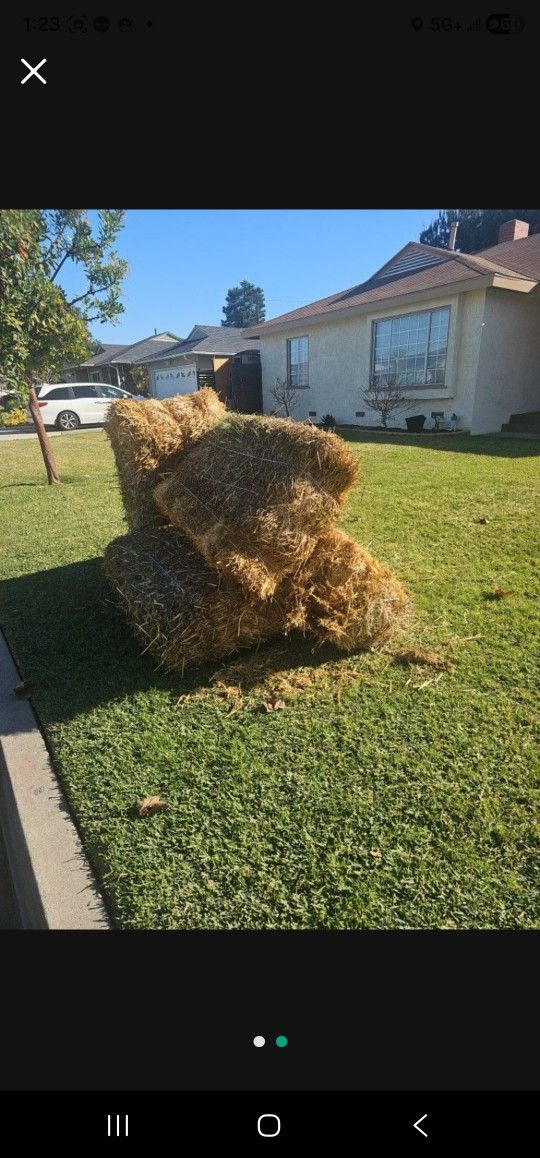 Free Hay