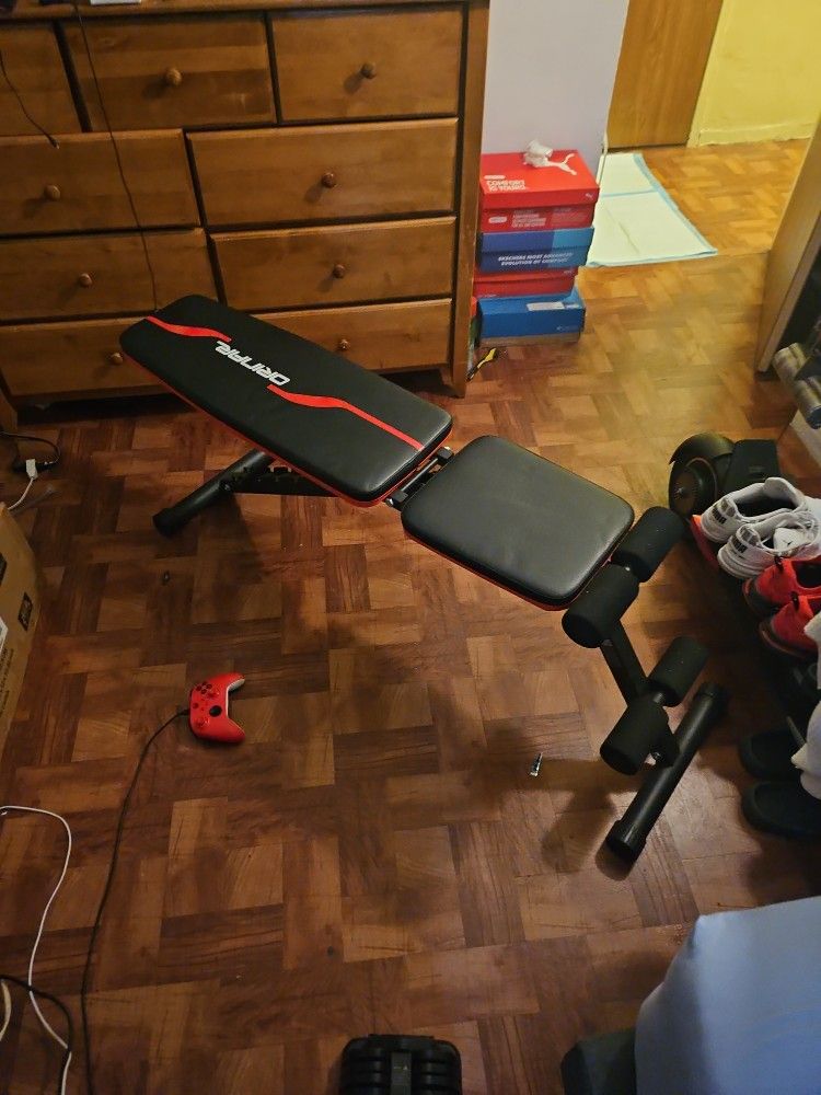Work Out Bench