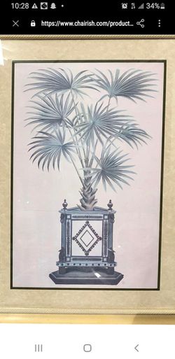 20th Century Palm TREE Print 40×56