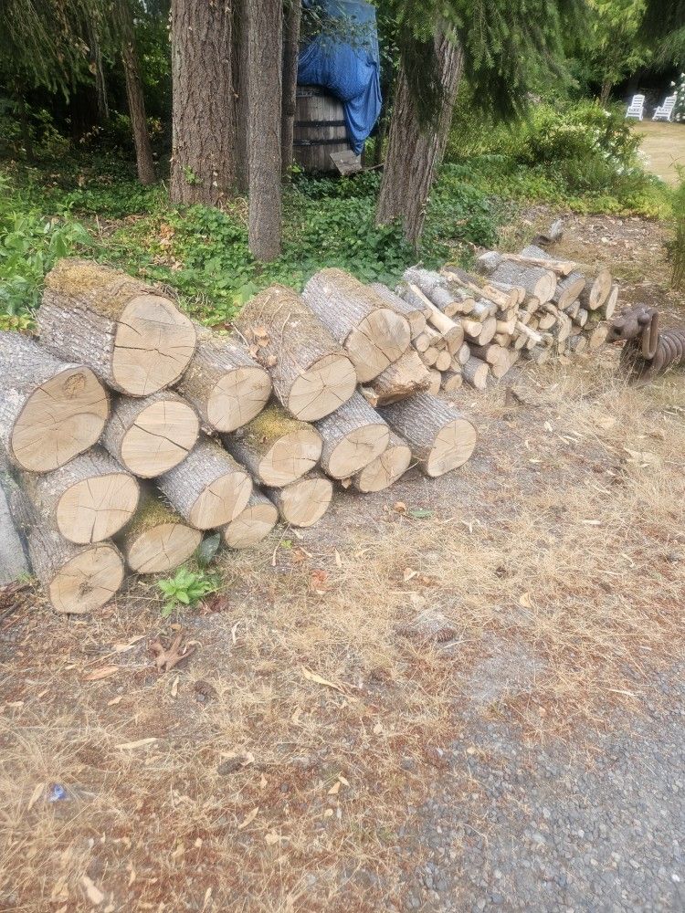 Fire Wood - Bone Dry Cottonwood