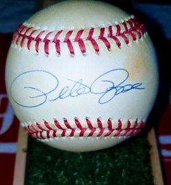 The Baseball Legend Pete Rose Signed Baseball