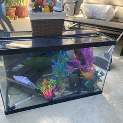 Complete Fish Tank Kit