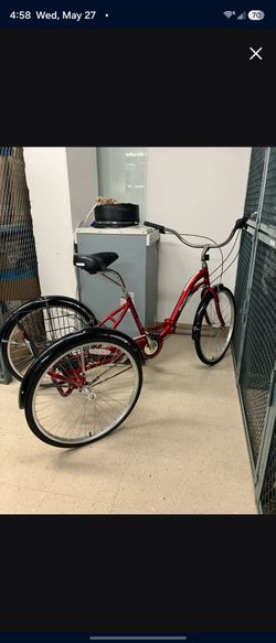 Adult tricycle bike