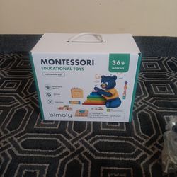Montessori Educational Toys 36+ Months