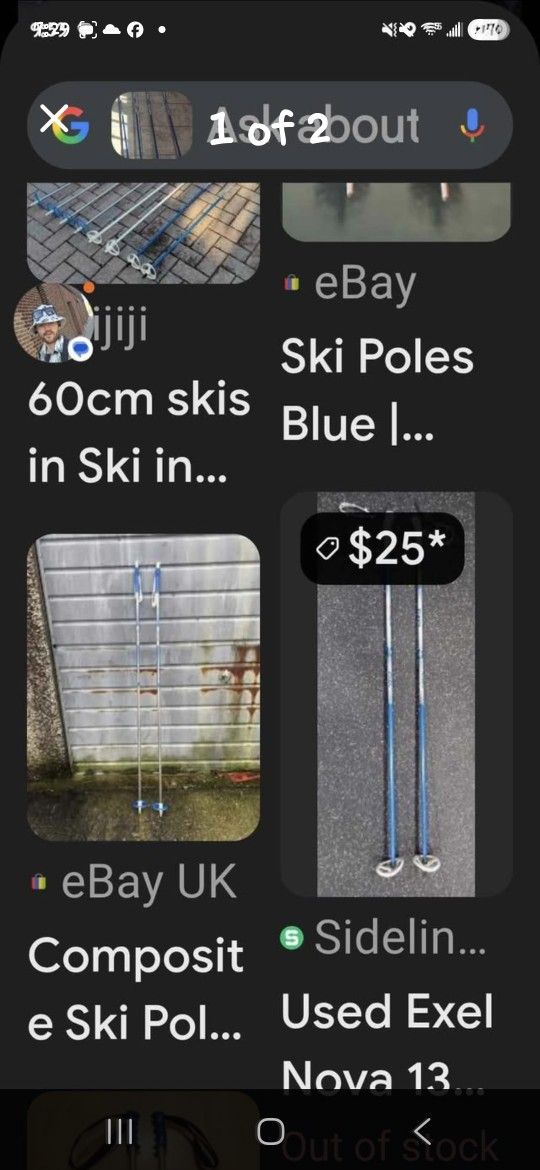 Classic Ski Poles