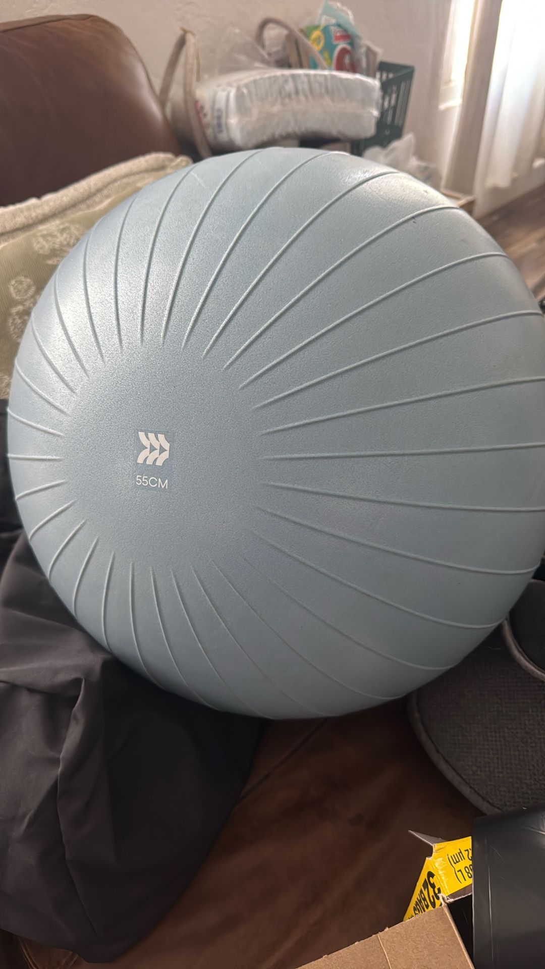 Exercise Ball
