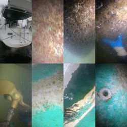 Bottom Cleaning & Underwater Inspections