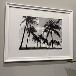 Black & white LA palm tree framed photos