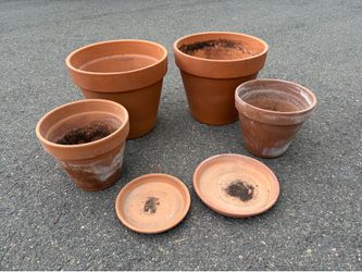 Terracotta pots