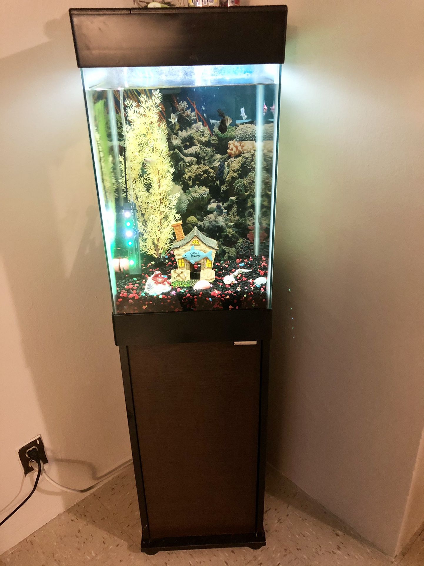 Fish Tank All Included