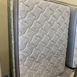 Queen  Mattress And Box Spring 