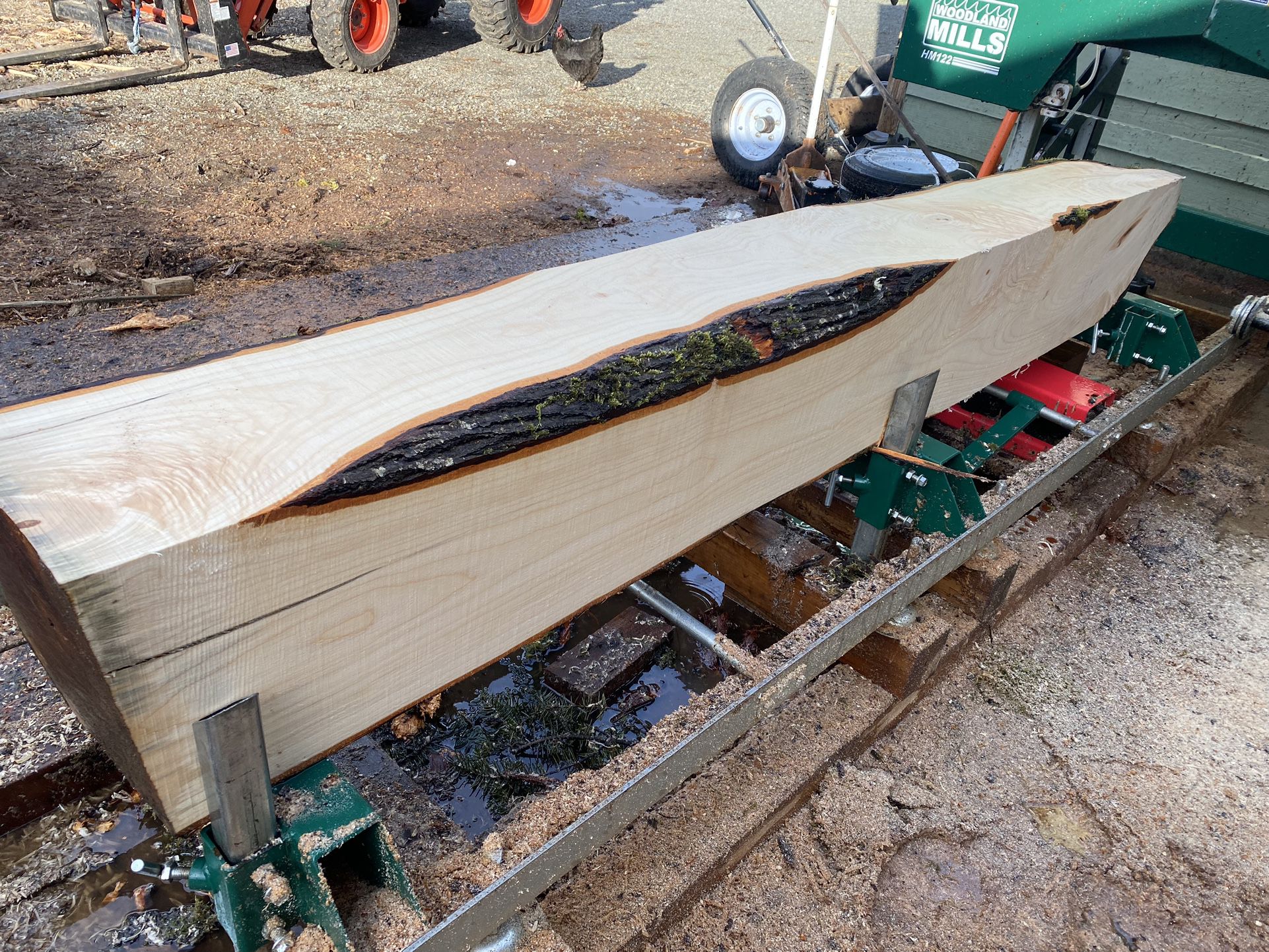 Hard Maple Log Cant 9 1/2” X 10 1/2” X 6’4” 