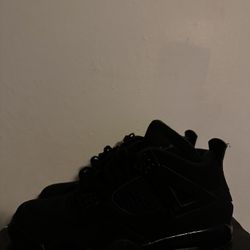 Black Cats