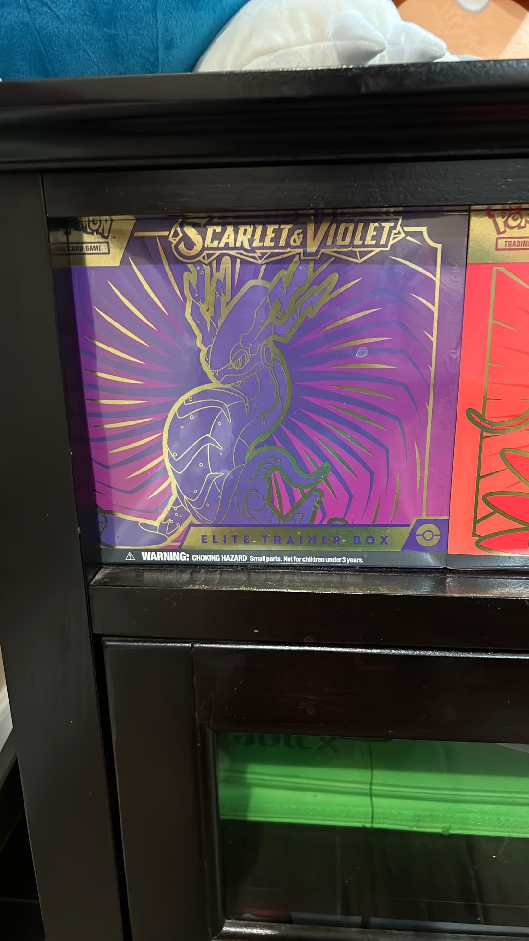 Scarlet And Violet Temporal Forces
