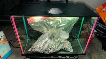 Fish tank aquarium