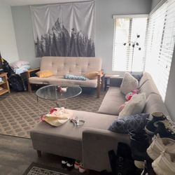 Both Couches For Sale! 