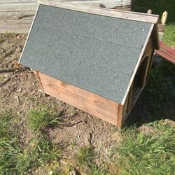 Dog House