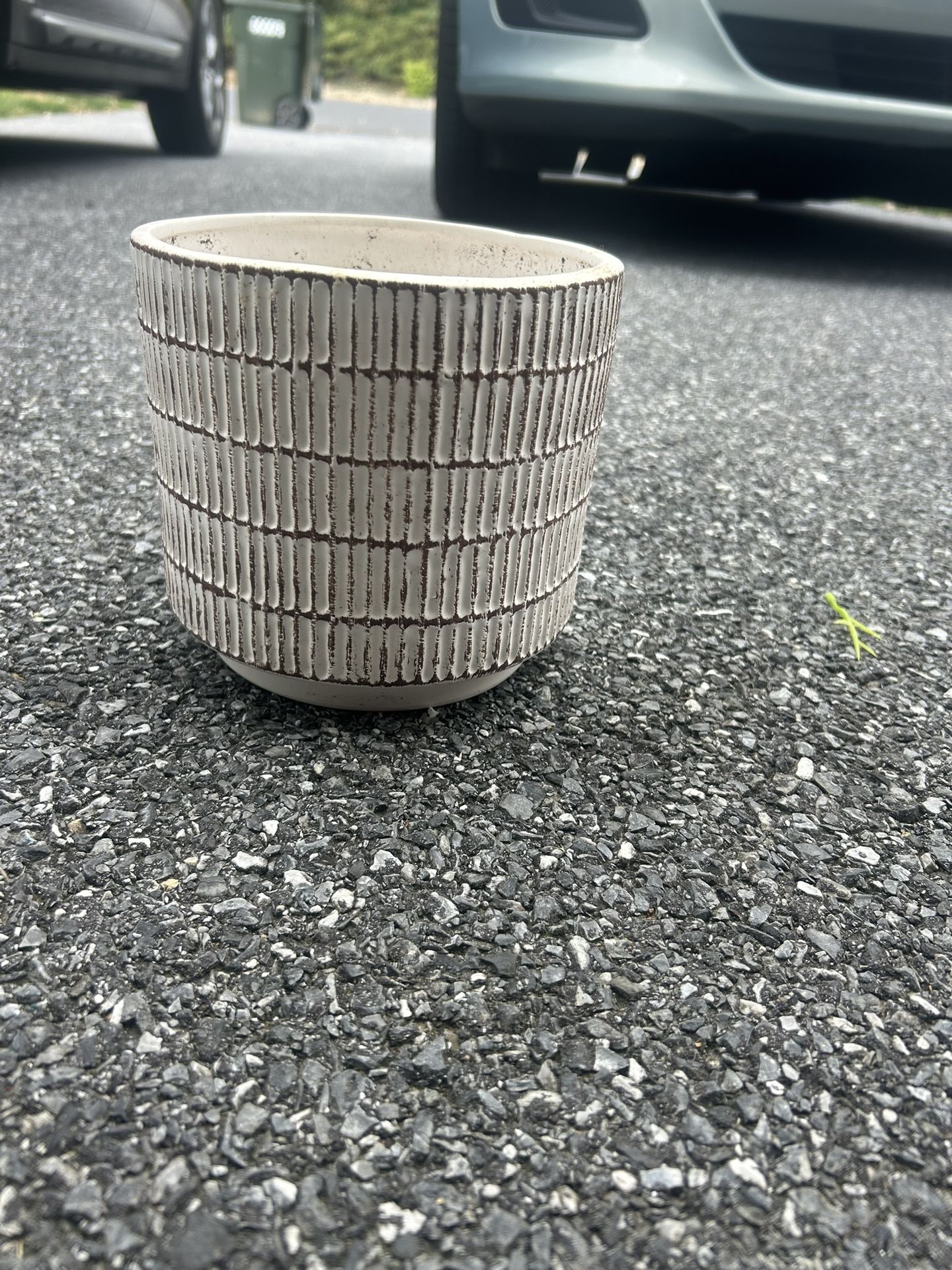 Plant Pot Diameter 6 1/2 In