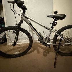 A Nishiki Bike. 24 Inch 