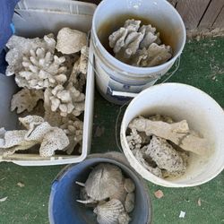 Fish Tank Decorations 