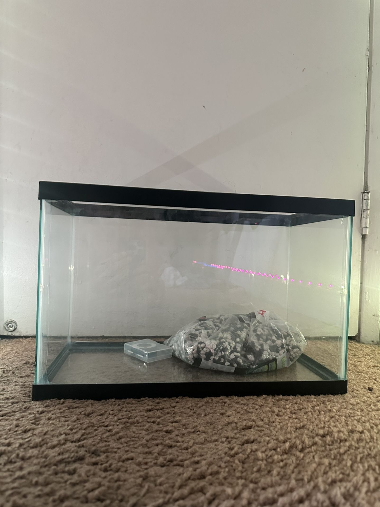 Fish Tank