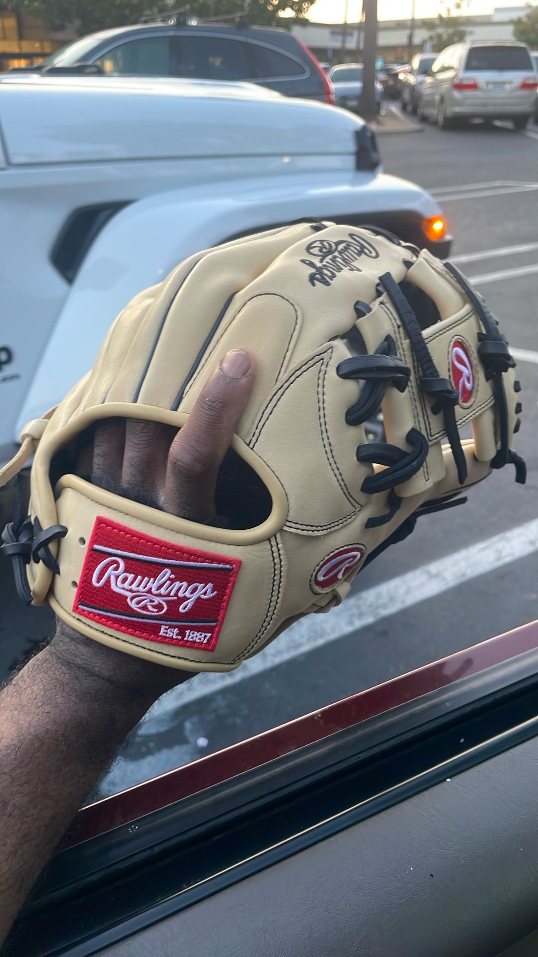 New Rawlings Glove