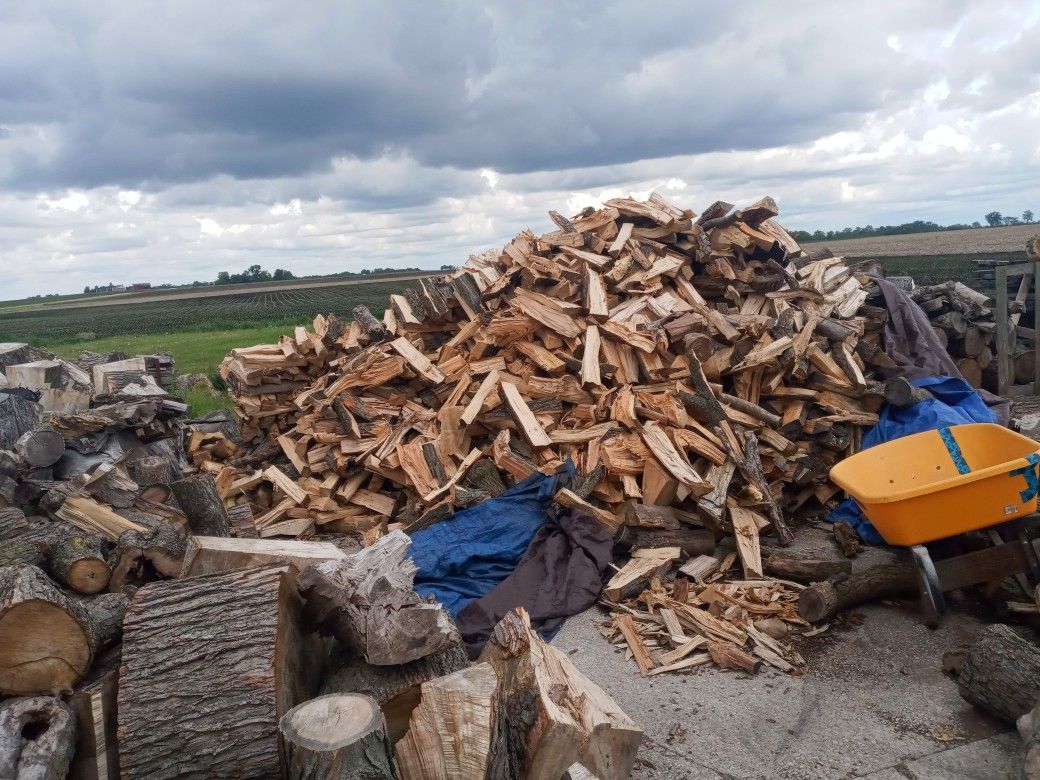 Firewood