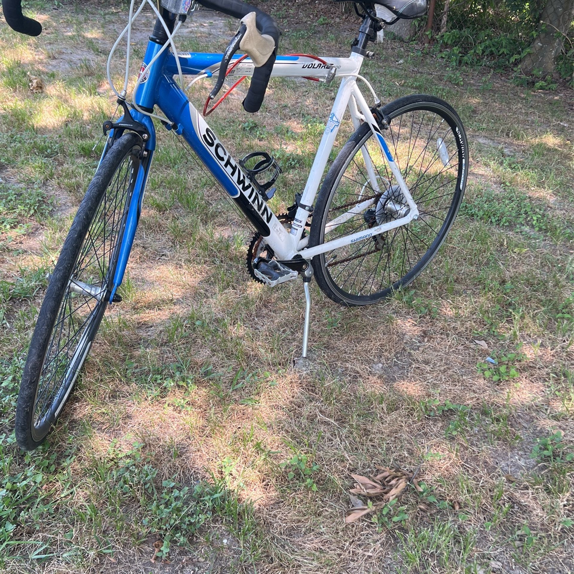 Schwinn volare 2024 1300 white
