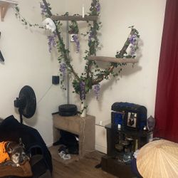 Homemade Cat Tree
