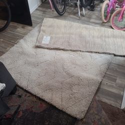 Area Rug 6x8