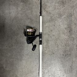 Saltwater Jigging Spinning Combo