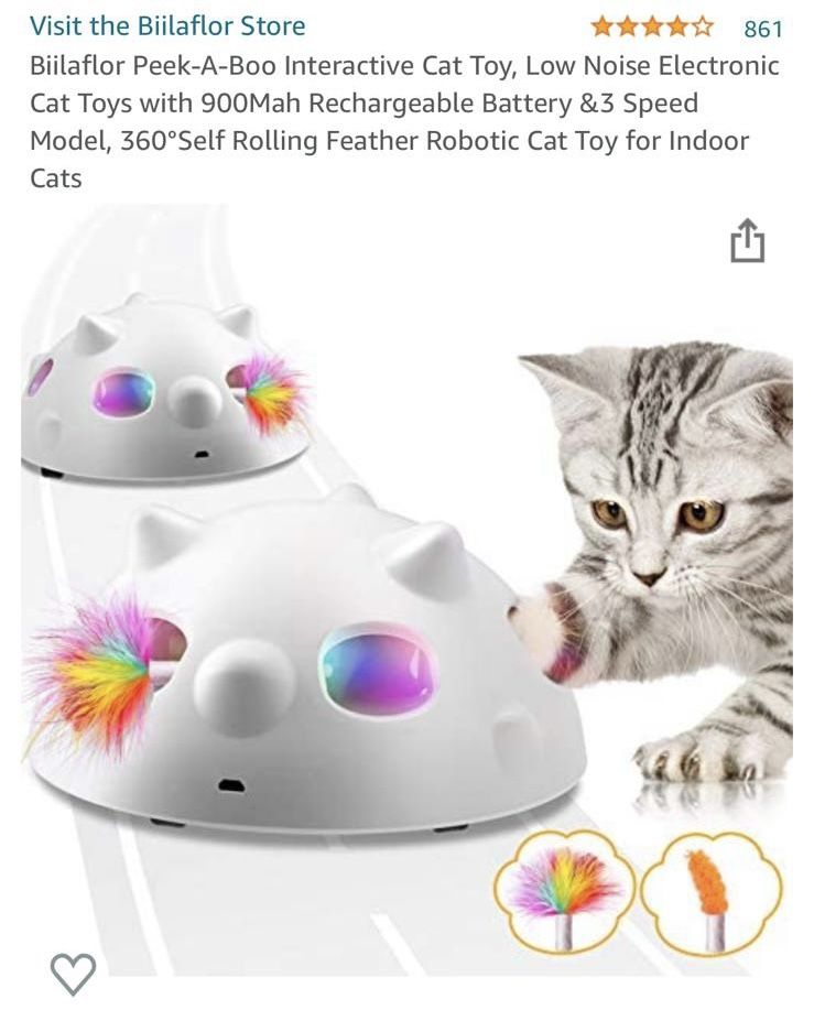 CAT TOY