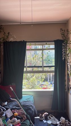 Extendable curtain rod and emerald curtains