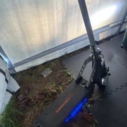 💥 Circooter Scooter 💥