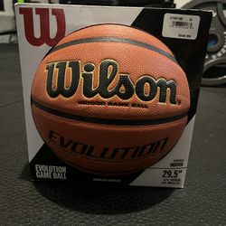 Wilson Evolution Indoor Game Ball