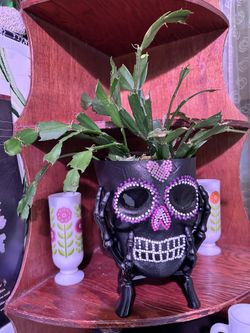 Skull plant pot planter 7” X 5” Day If The Dead Día de los Muertos