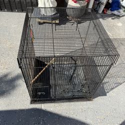 Bird Cage