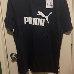 Pumas 