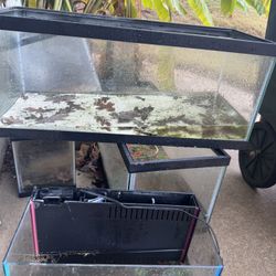 20 Gal Tank No Filter No Lid No Stand 