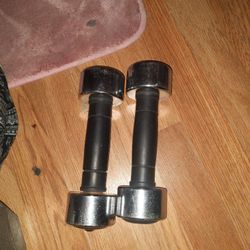 5 pound small dumbbells 