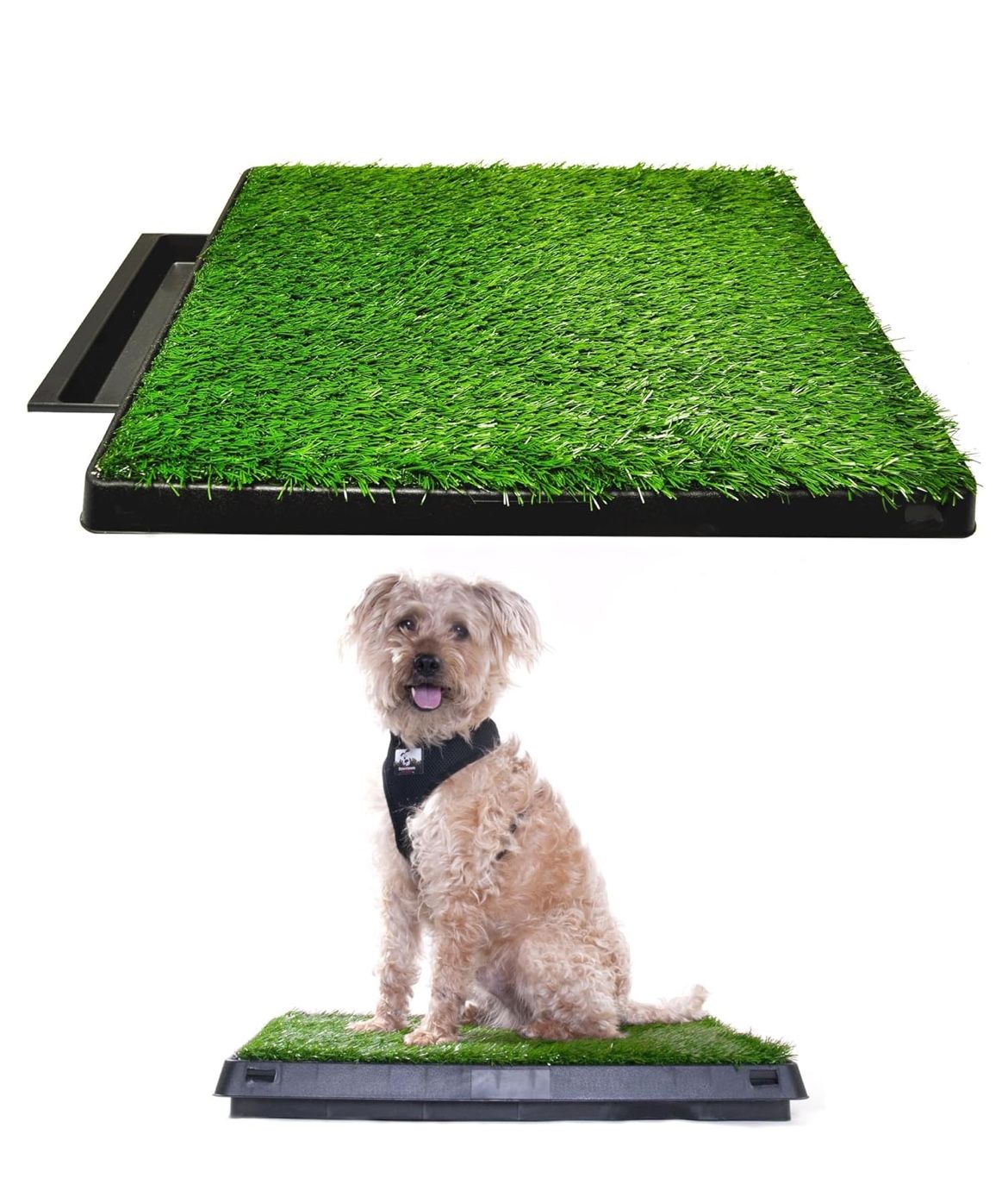 Dog Grass Pad with Tray, 20 x 25 w/Drawer