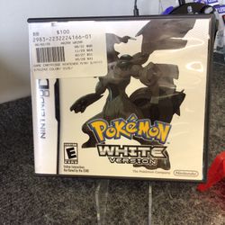 Nintendo DS