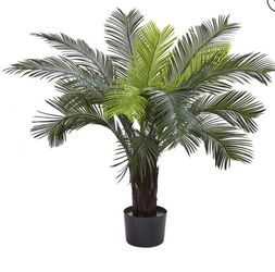 3’ Cycas Tree UV Resistant (Indoor/Outdoor) 