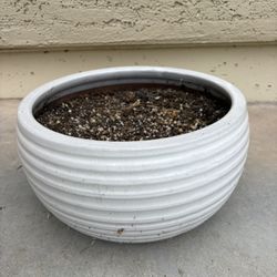 Nice Plant Planter Pot 