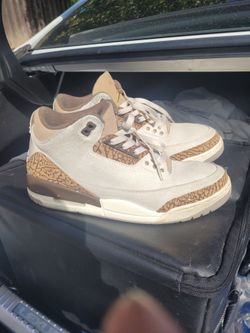 Jordan 3s size 10