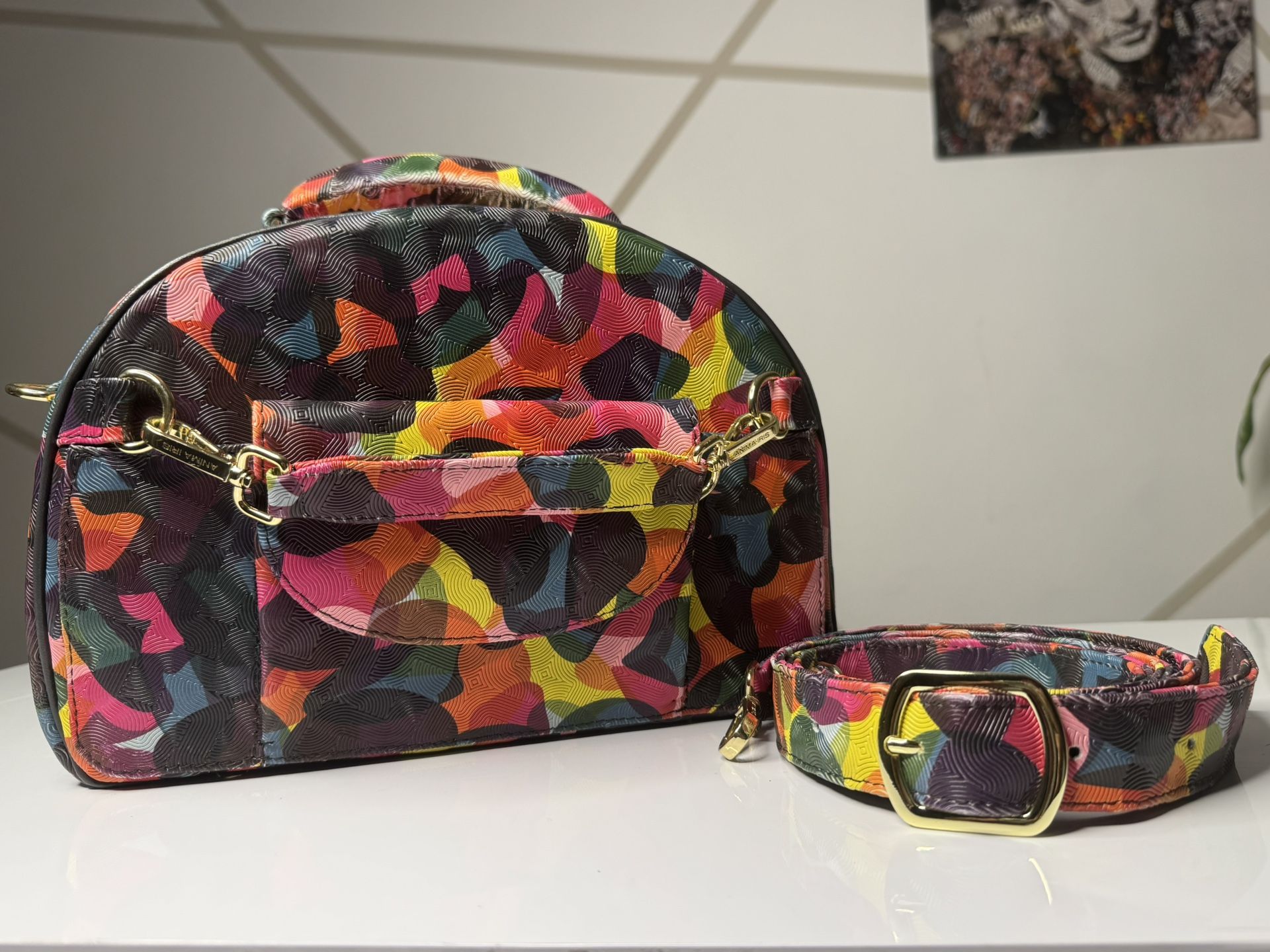 Anima Irish Multi-Color Luggage Bag with Strap